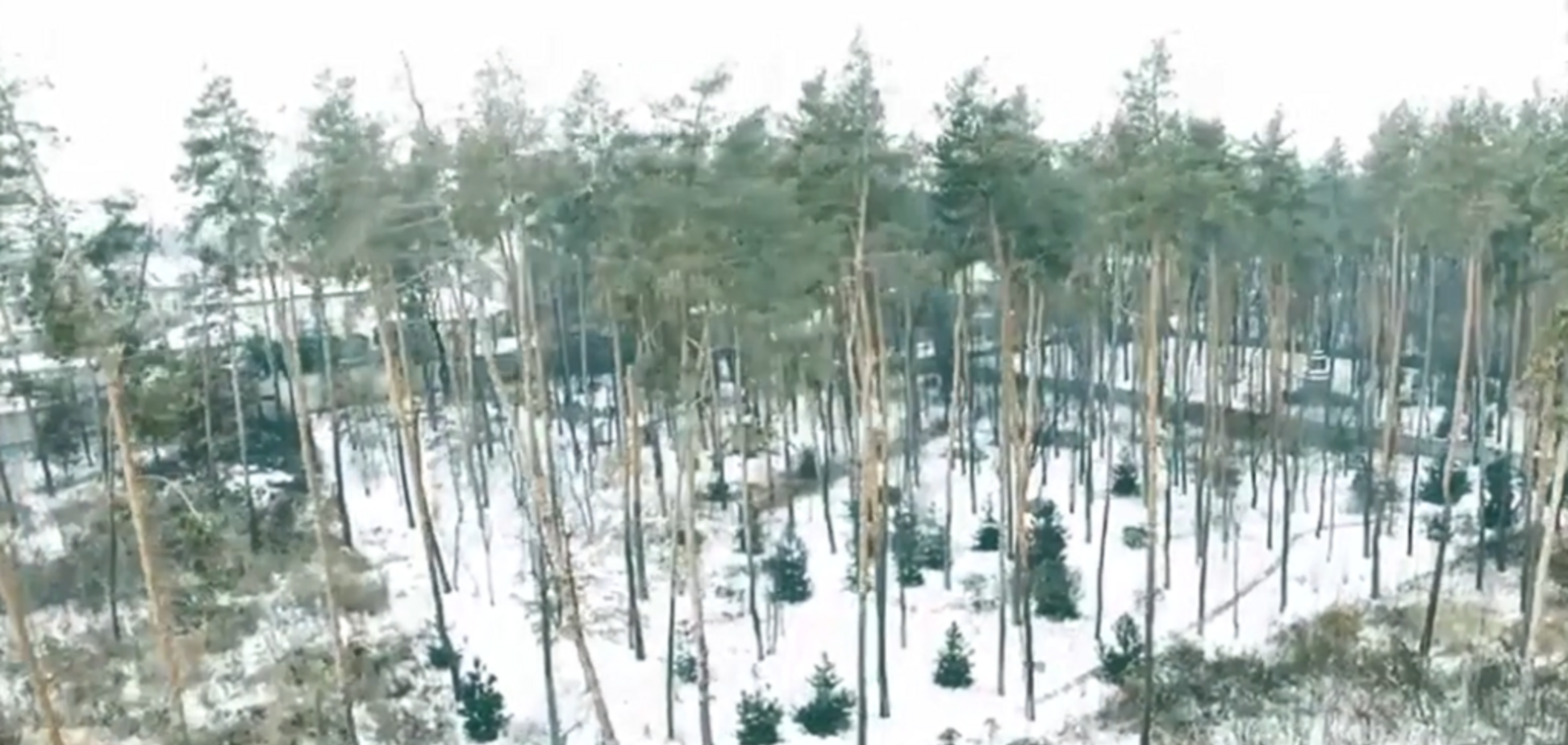 На кону мільйони: під Києвом захопили гектари лісу під висотки