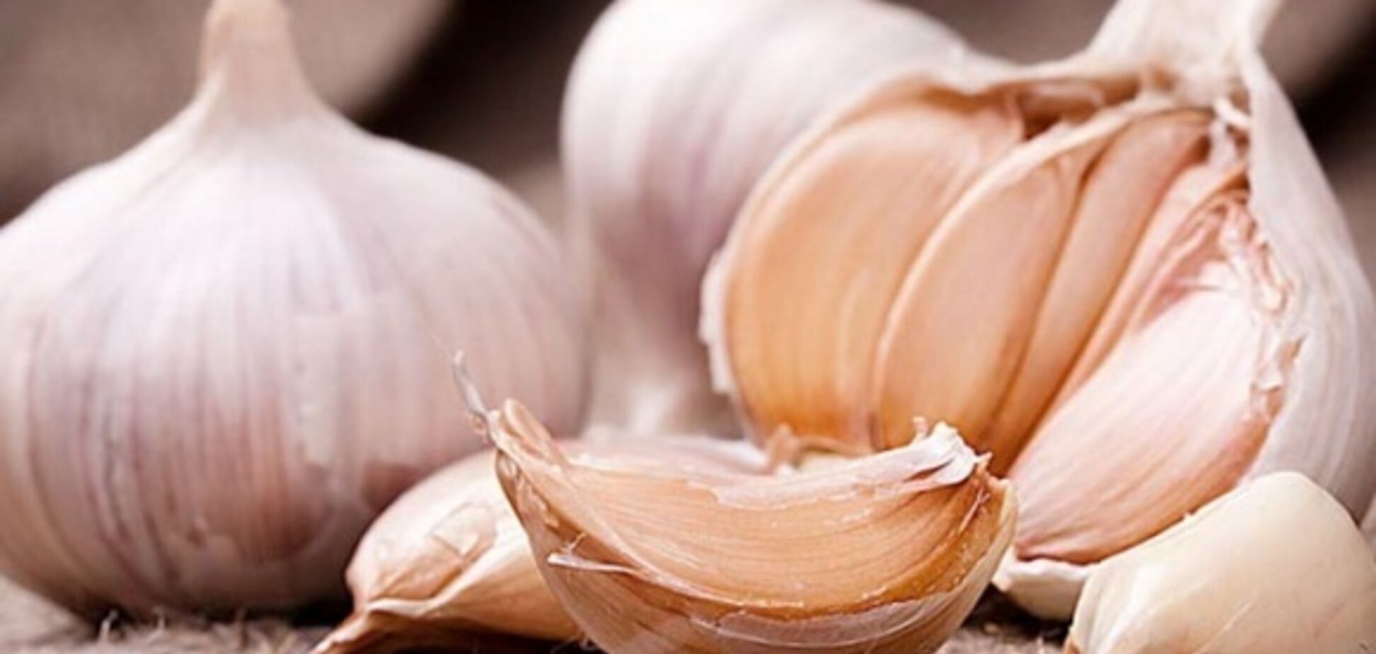 Вся правда про часник: користь і шкода