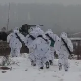 Военное положение в Украине: в Freedom House и ВСУ раскрыли нюансы