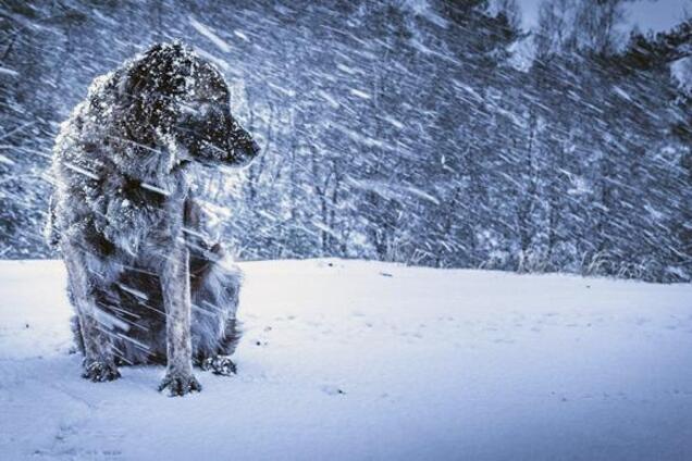 Юрьев день: приметы и традиции праздника
