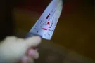 В школе России снова устроили поножовщину