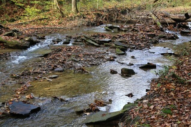 Превратится в пустыню: Украину предупредили о грандиозной экологической катастрофе