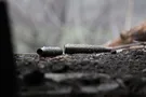 АТО на Донбассе