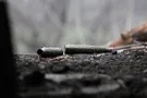 Донбасс война