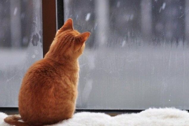 Прогноз погоди в Україні на 10 лютого у містах