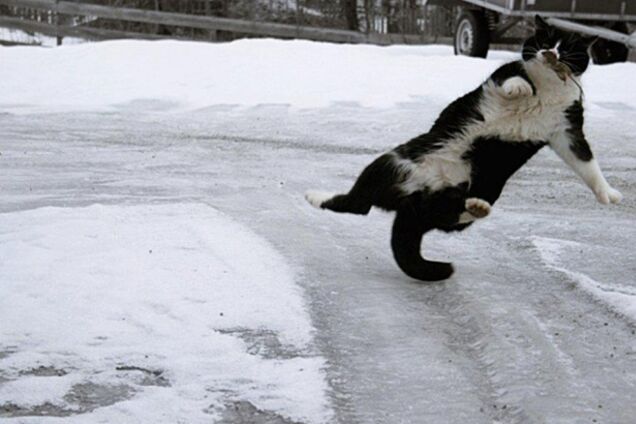 Погода в Києві: синоптики попередили водіїв про небезпеку