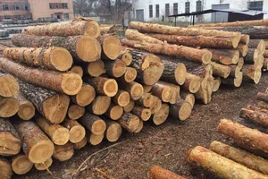 Таємні перемовини