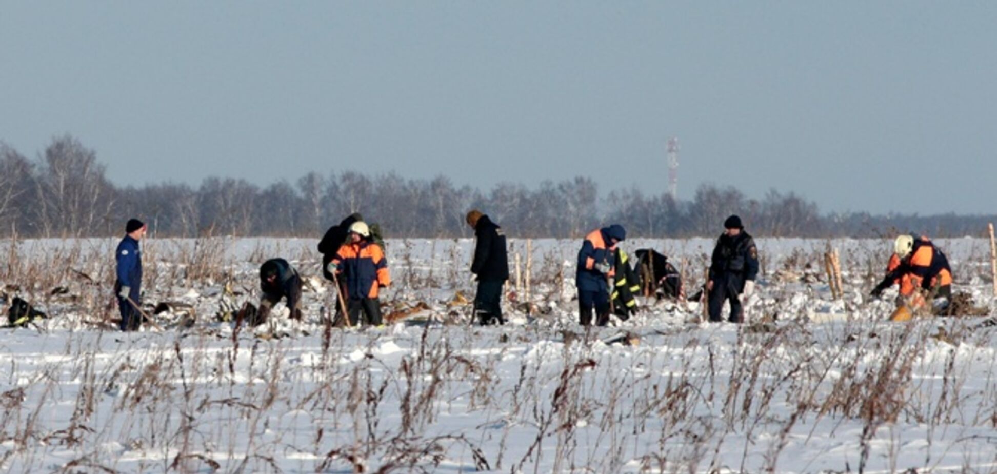 Авиакатастрофа Ан-148 в России: опознаны первые жертвы