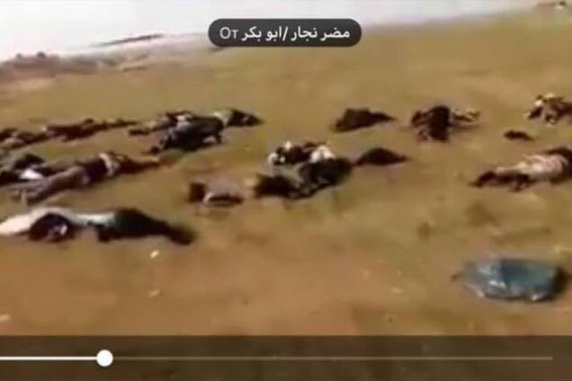 Тайное стало явным, или Родина всегда тебя бросит, сынок