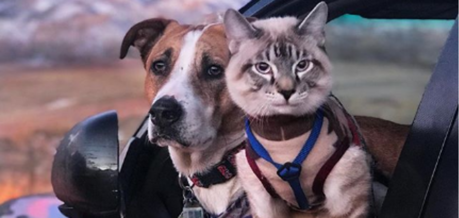 Генри и Балу