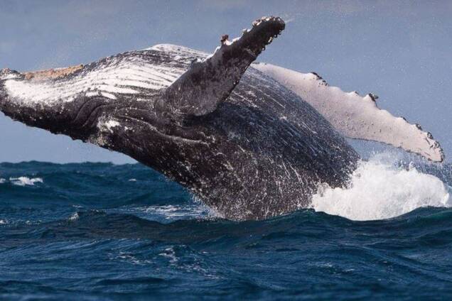 19 лютого: яке сьогодні свято