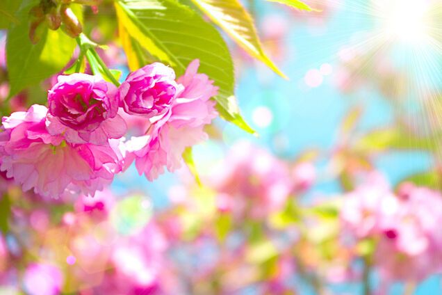 Погода в Украине: синоптик сообщил, когда придет весна