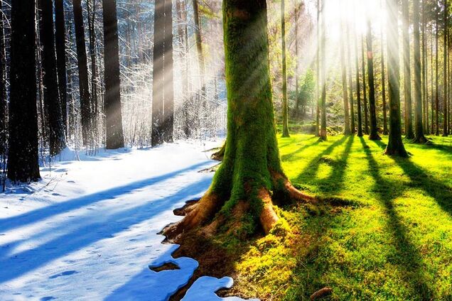 Весны не будет: синоптик дал прогноз по Украине на две недели