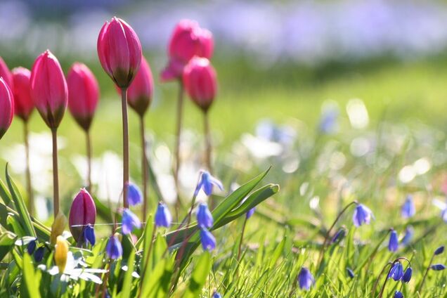 Когда придет весна: народный метеоролог дал ответ