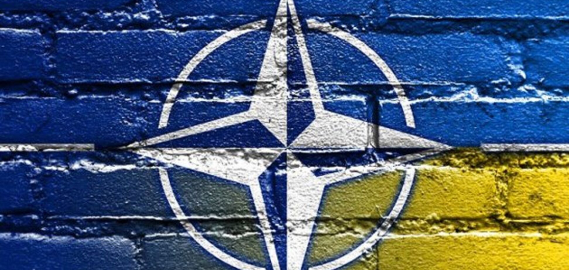 Украина НАТО