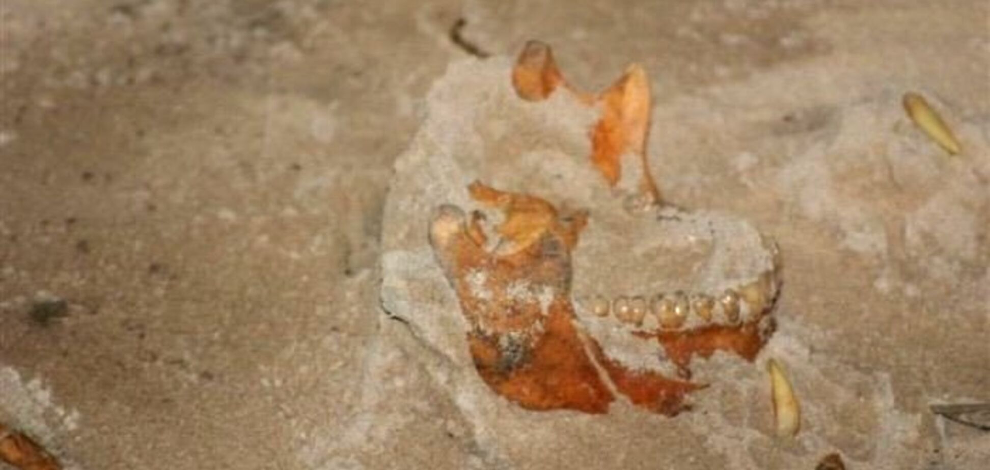 Археологи отыскали исчезнувшую цивилизацию