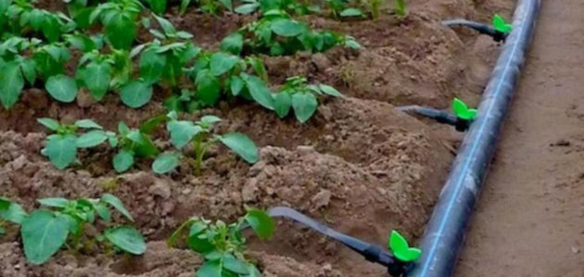 Новейшая история донецкого агропрома