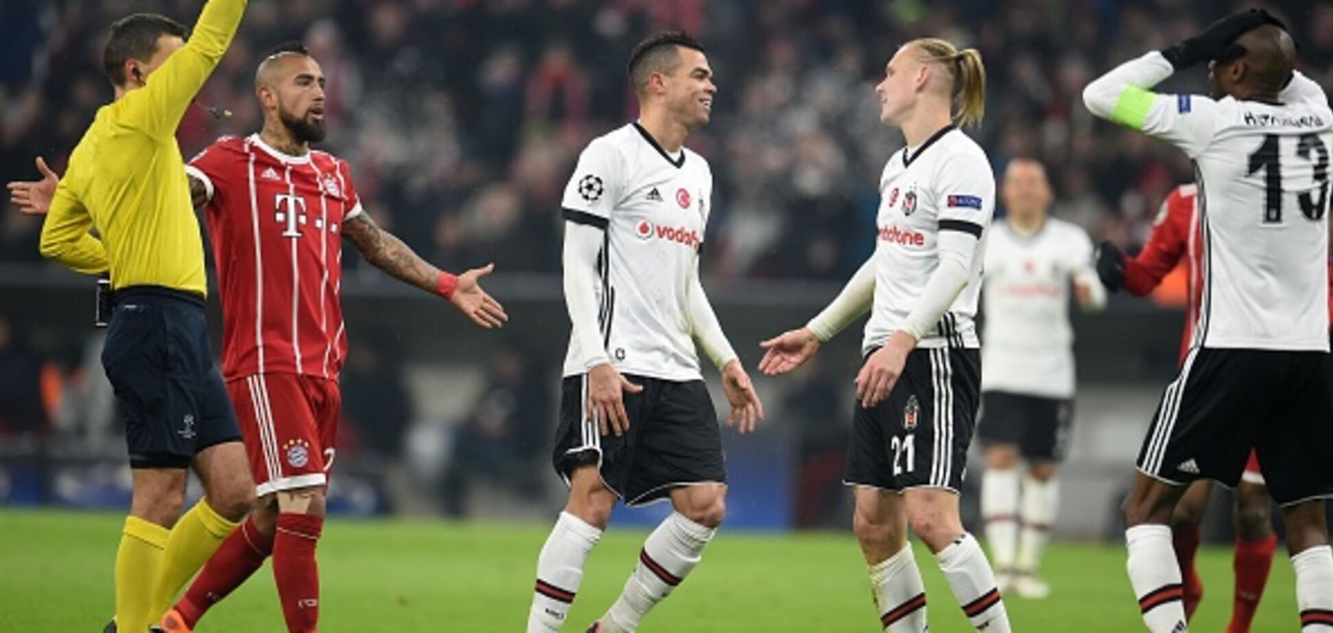 Домагой Вида