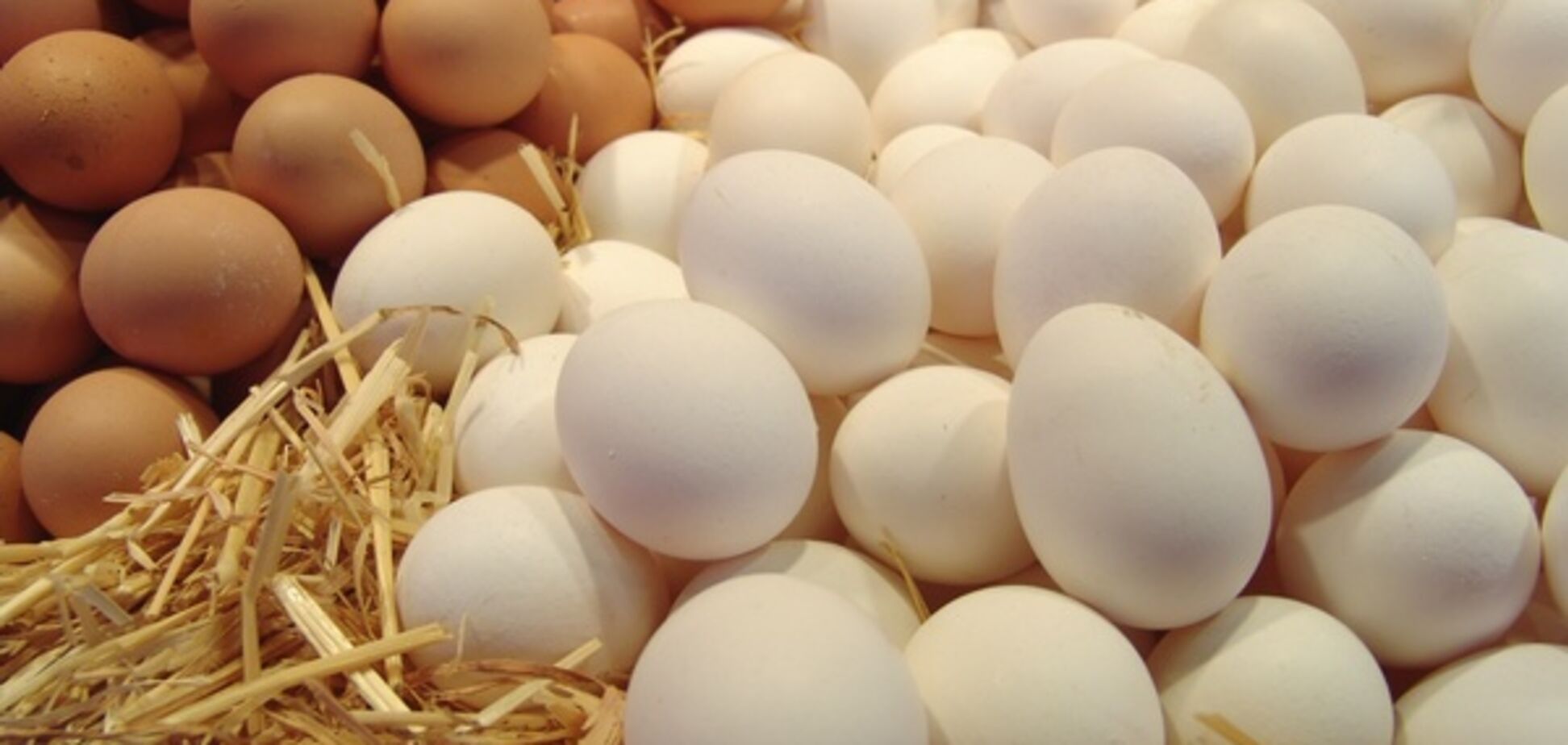 Avangardco IPL отримав дозвіл на експорт яєць до Євросоюзу