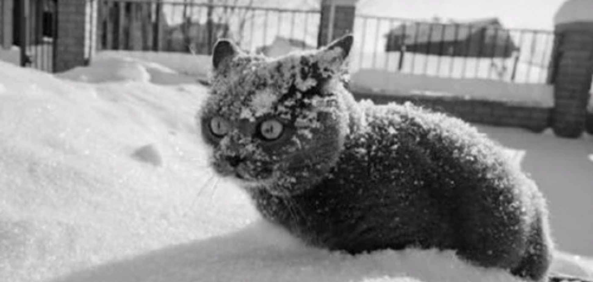 Идут лютые морозы: синоптики дали прогноз погоды в Киеве