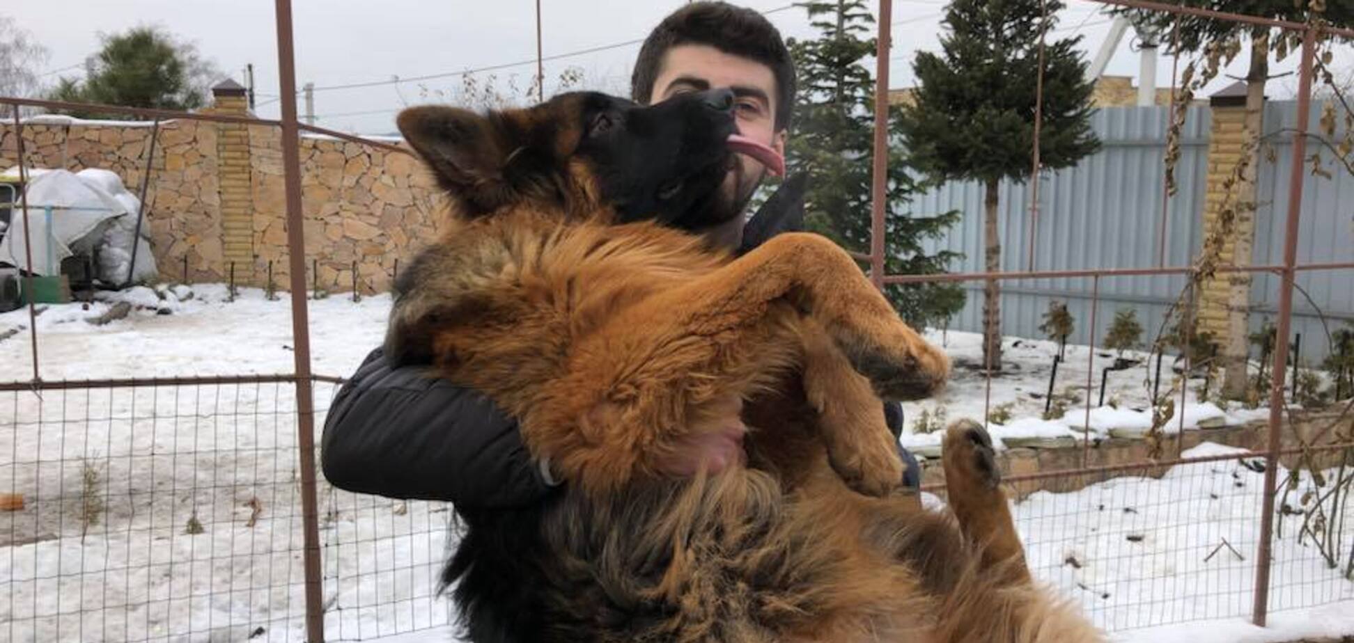 Возвращение блудного Бантика: в Киеве нашли похищенного щенка. Трогательные фото