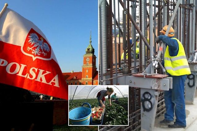 Трудоустройство в Польше: названы плюсы новых правил для украинцев