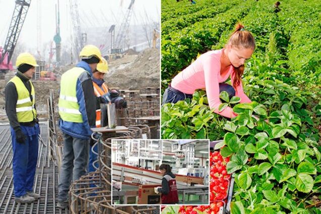 Работа в Польше: названы сложности трудоустройства украинцев