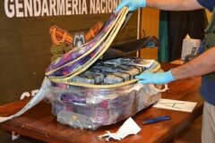 В посольстве России в Аргентине нашли 400 кг кокаина. Опубликованы фото