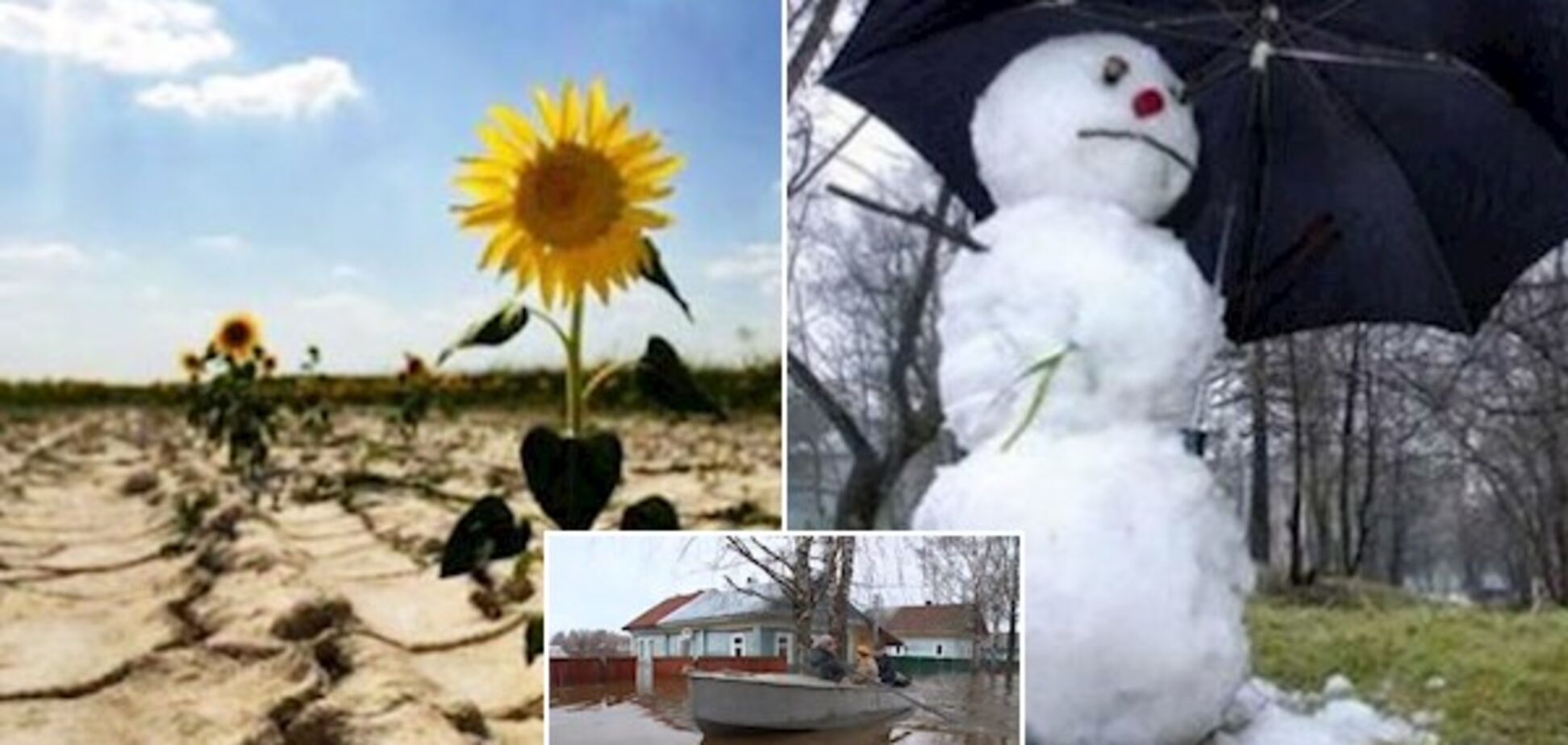 Как глобальное потепление ударило по климату Украины: названы результаты