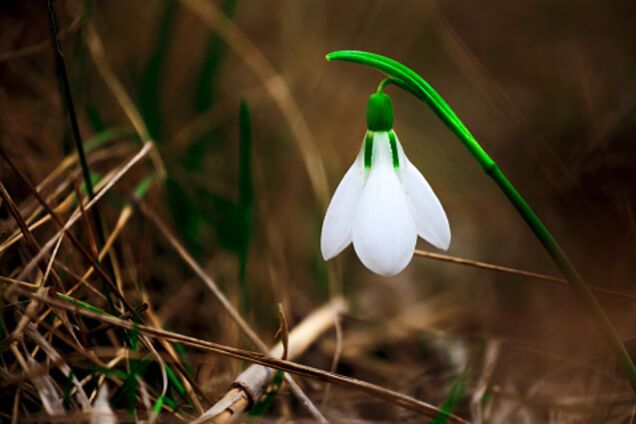 Лютые морозы отступят: синоптики рассказали, когда в Украине потеплеет
