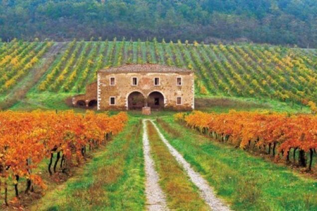 Пример для подражания: политика испанского государства в отношении сельхозпроизводителей