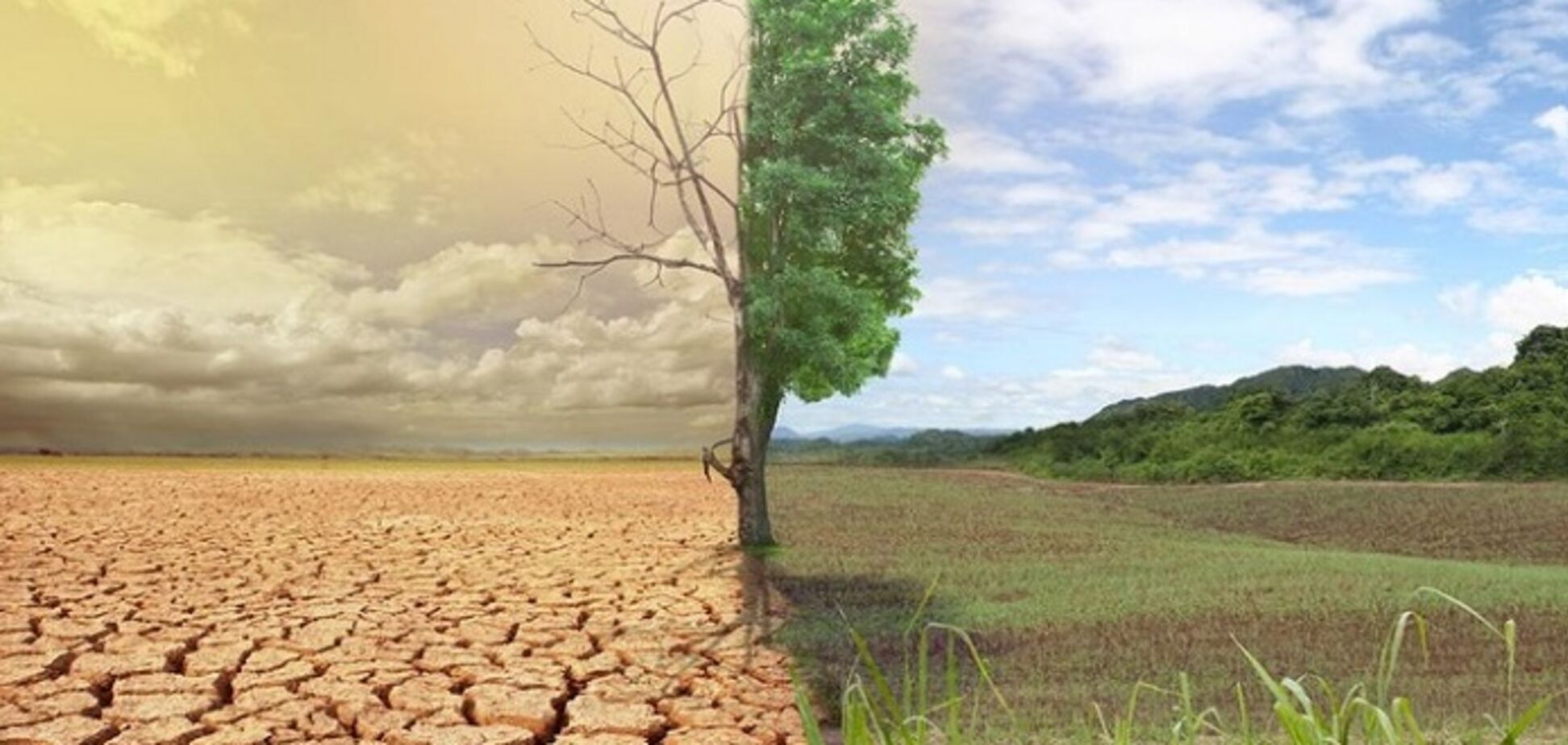 Зникне Полісся: Україні напророчили температурний колапс