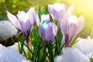 1 марта: поздравления, смс, открытки с первым днем весны