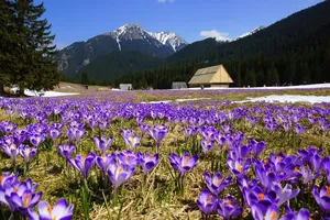 Куда поехать на 8 марта: топ-3 направления