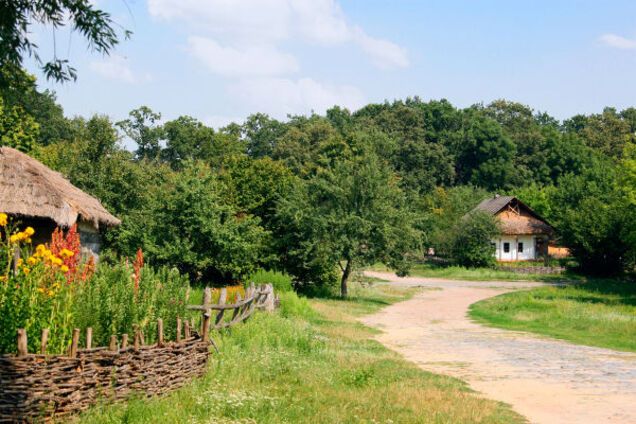 На похороні в баби Маньки тужити не було кому