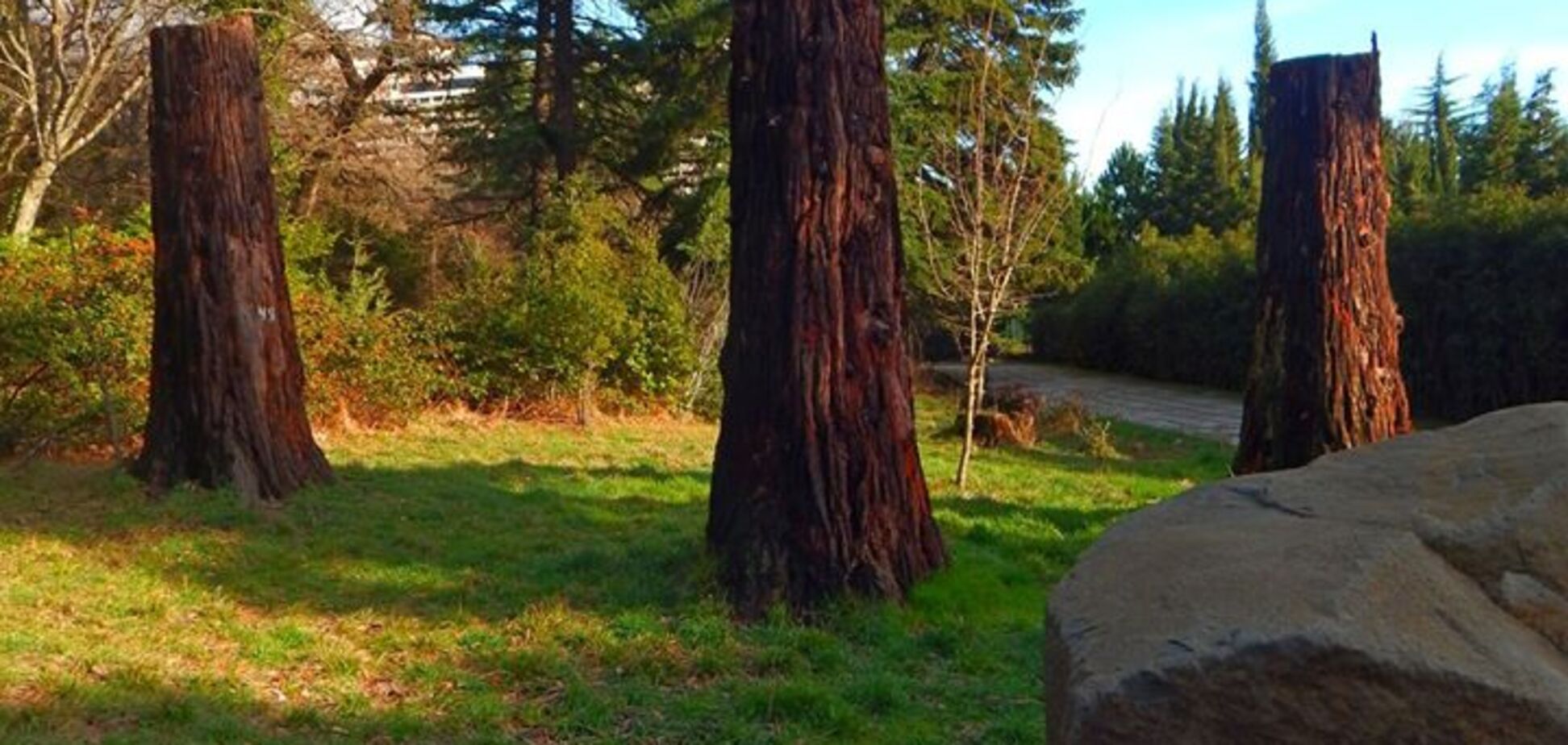 Новости Крымнаша. Сокращение кормовой базы