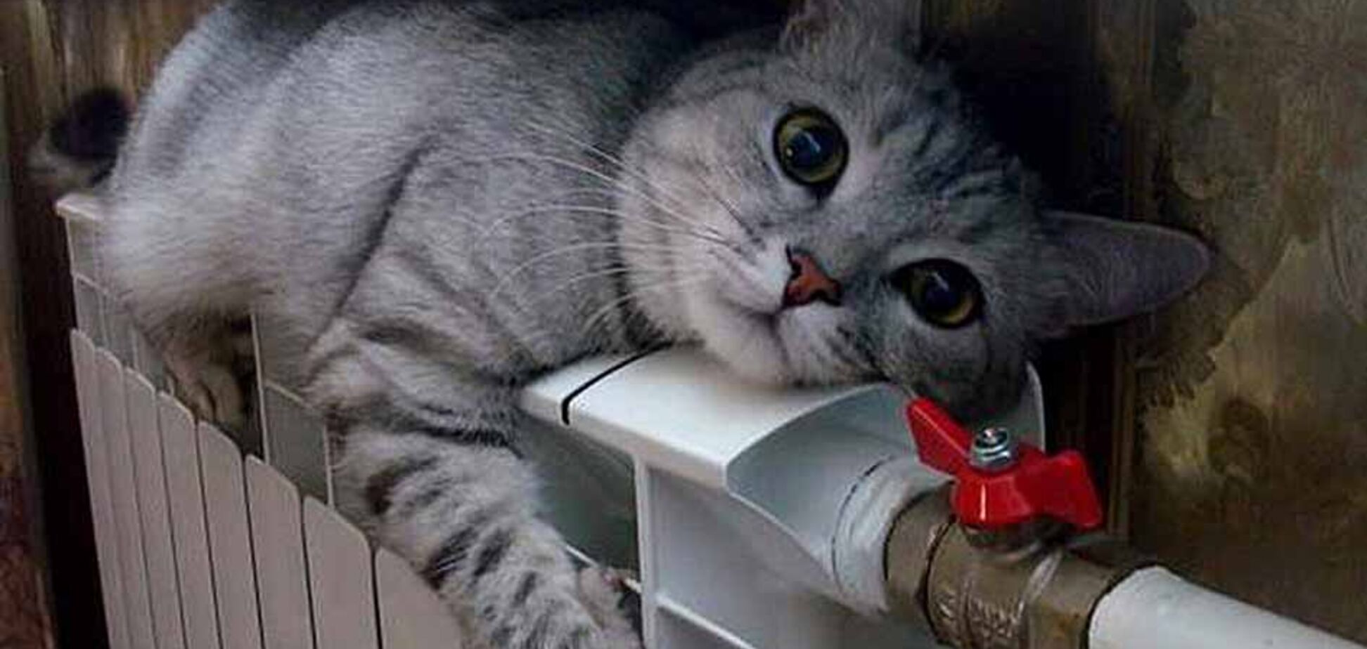 Погода в Украине: синоптик предупредила о серьезном похолодании