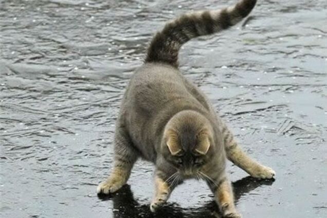 Опади та ожеледь: з'явився прогноз погоди в Києві на п'ятницю