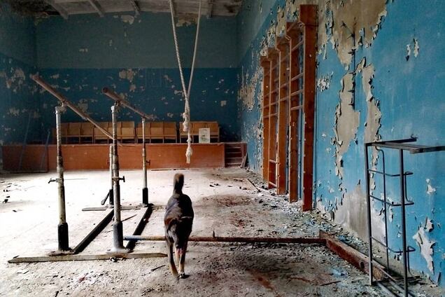 Выжили после Чернобыля: журналисты показали жителей зоны отчуждения