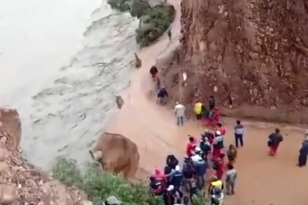 Разминулся со смертью: опубликовано зрелищное видео спасения мужчины от оползня