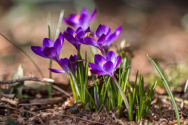 Потепління в Україні: в Гідрометцентрі назвали дату