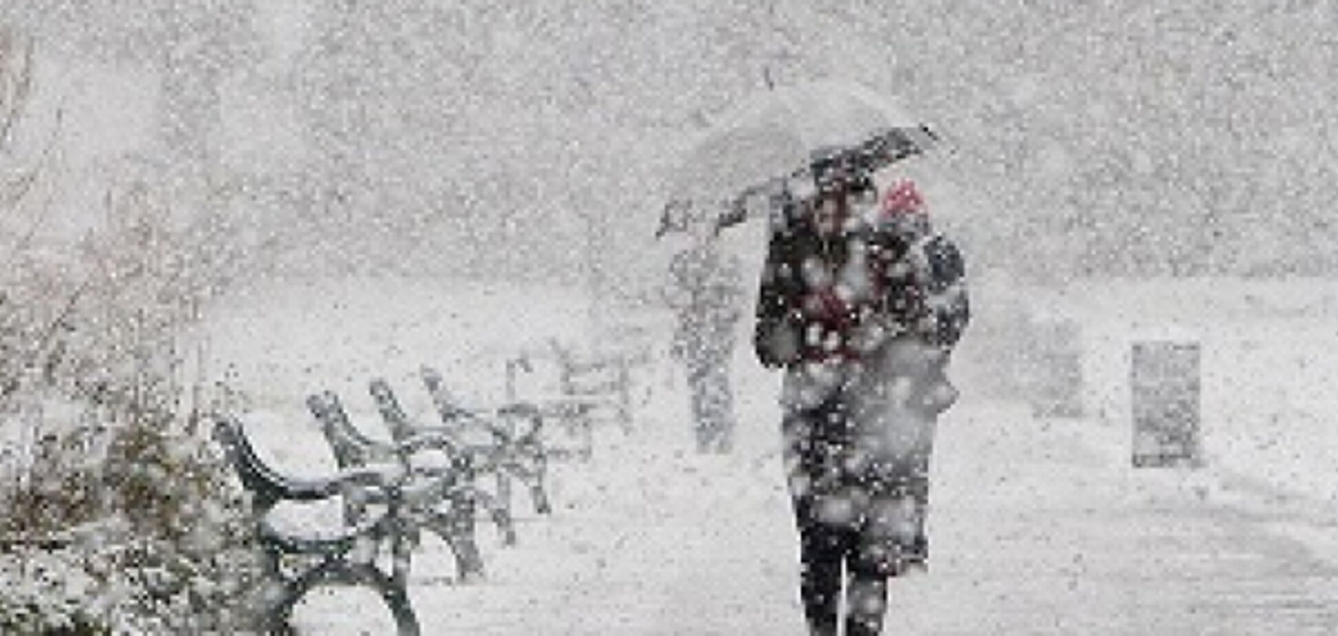 Снігопади і хуртовини не припиняться