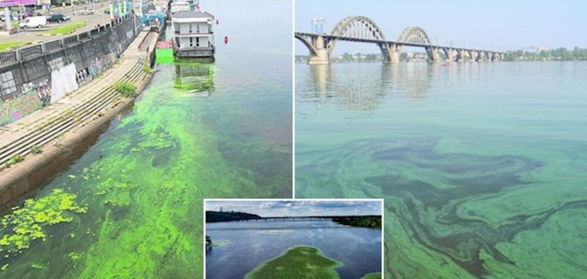 Уже на пределе: эколог рассказала, что убивает Днепр