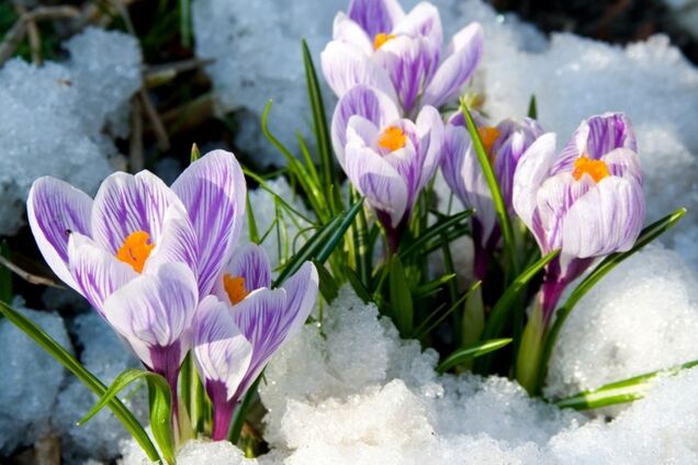 Синоптик заявила о температурной аномалии в Украине