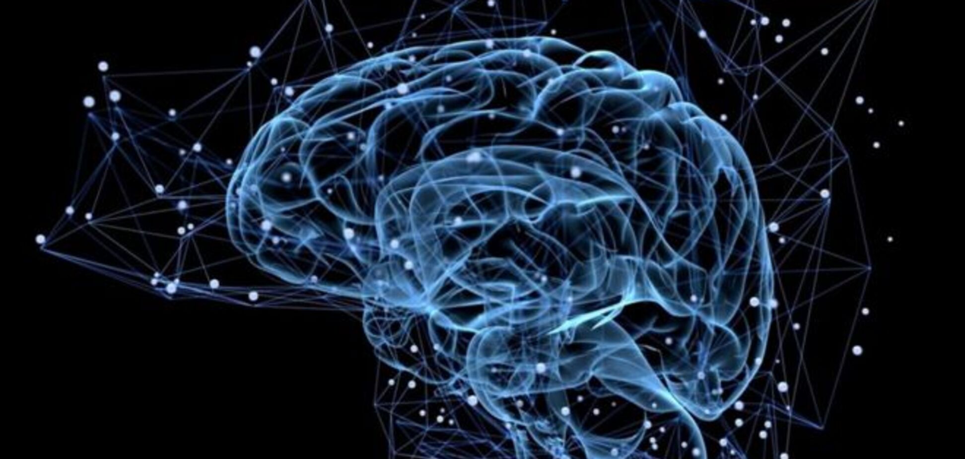 Мифы, факты и полезные сведения о головном мозге