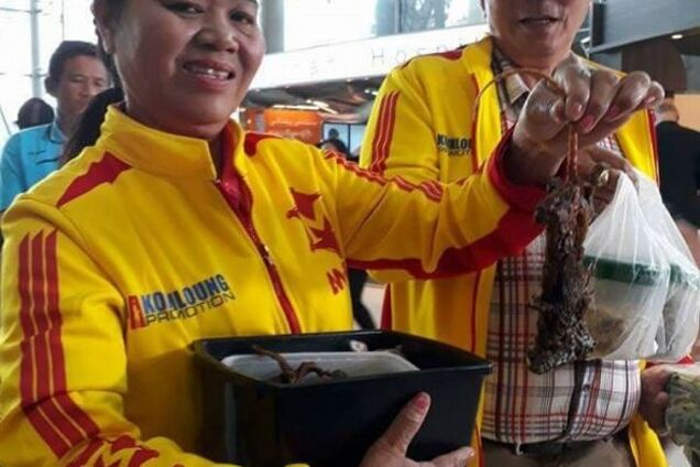 Чемпіон світу з боксу з'їв щура в аеропорту: фото не для людей зі слабкими нервами