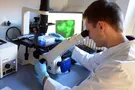 Как вылечить особый смертоносный рак: ученые нашли способ