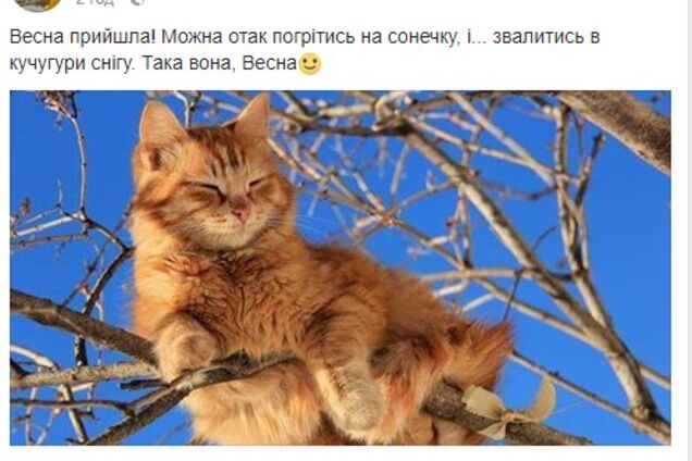 З першим Днем весни: прикольні картинки