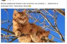 С первым Днем весны: прикольные картинки