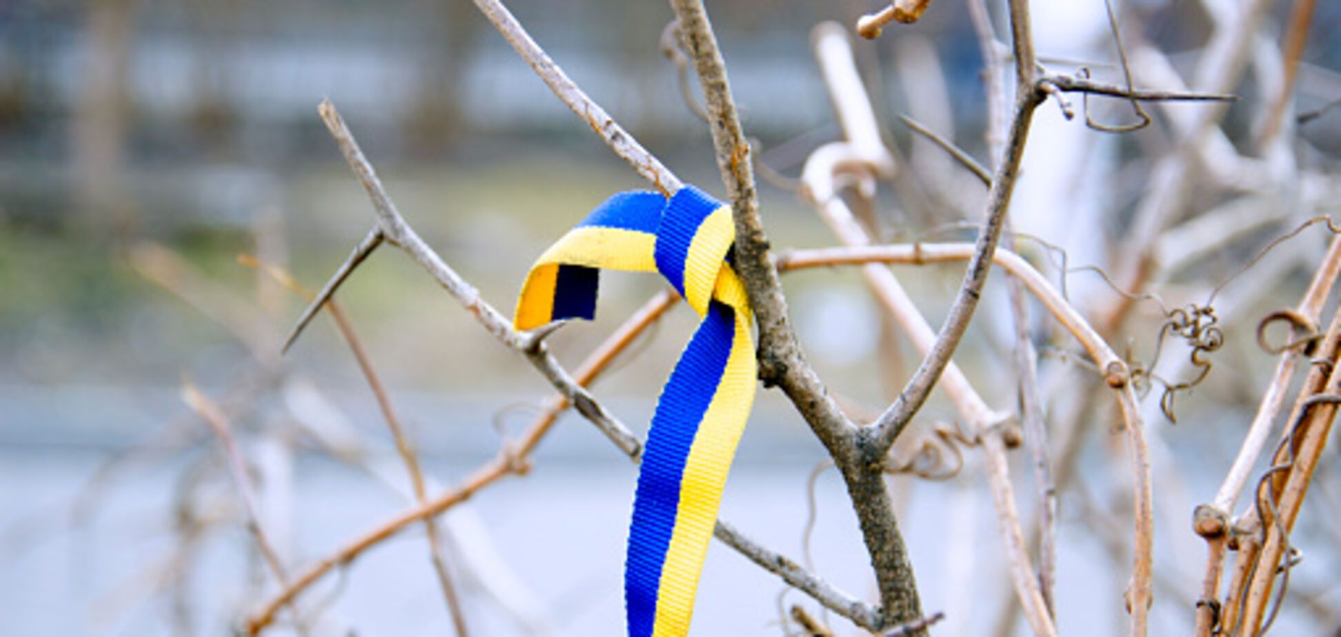 Стыдно за тех, кому плевать на Украину